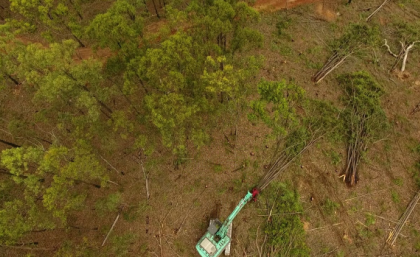 Heavy machinery clearing trees from land.